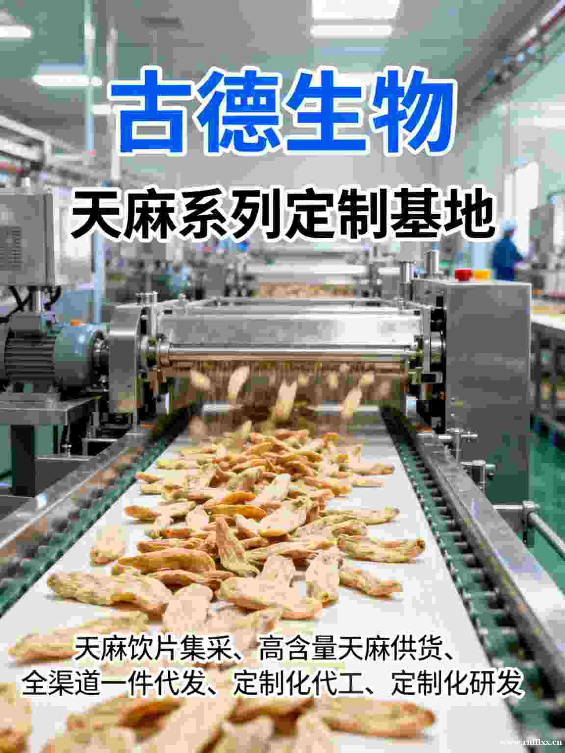 高含量天麻集采古德生物源头品质可控浸出物30% 高含量天麻集采古德生物源头品质可控浸出物30%