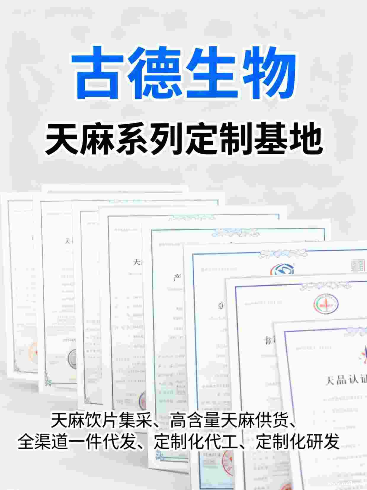 古德生物高含量天麻代工检测齐全天麻素0.5%浸出物30% 古德生物高含量天麻代工检测齐全天麻素0.5%浸出物30%