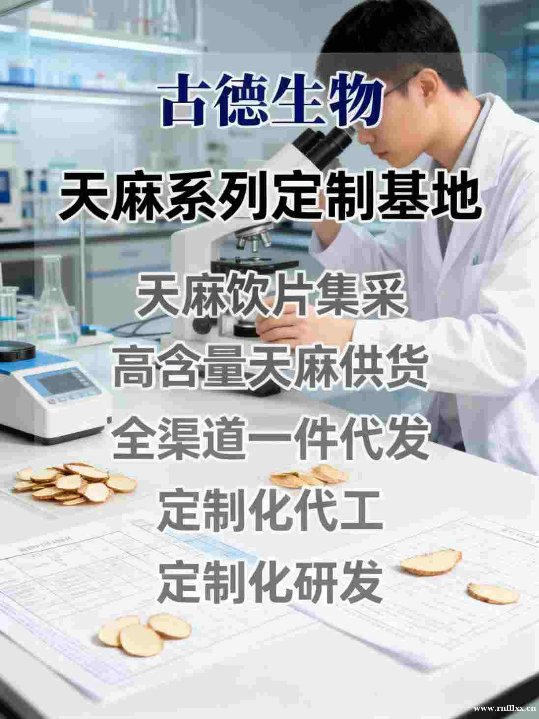 古德生物高含量天麻代工工艺成熟天麻素0.5%浸出物30% 古德生物高含量天麻代工工艺成熟天麻素0.5%浸出物30%