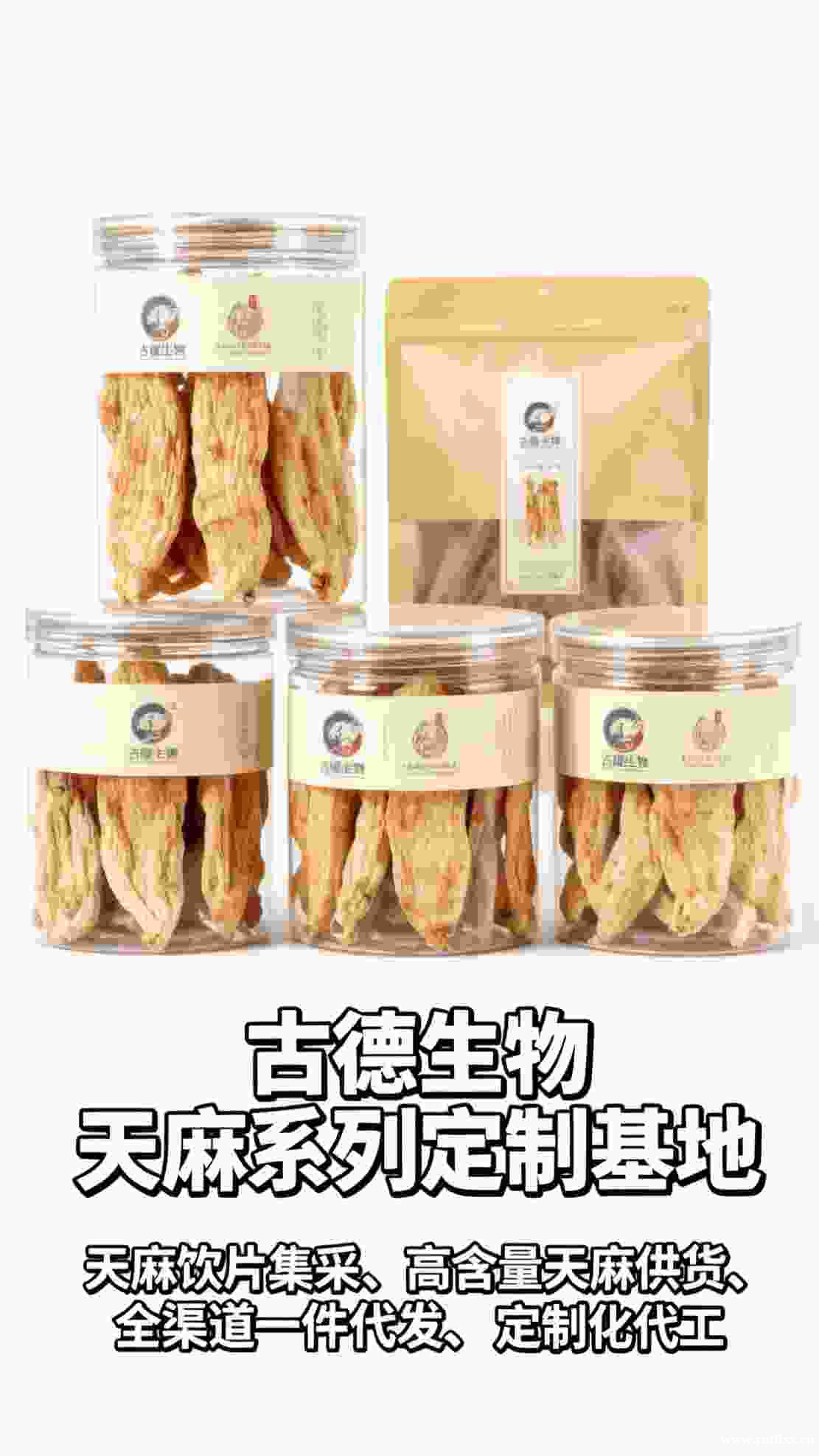 昭通仿野生天麻蜜环菌:古德生物铸就共生康养瑰宝 昭通仿野生天麻蜜环菌:古德生物铸就共生康养瑰宝