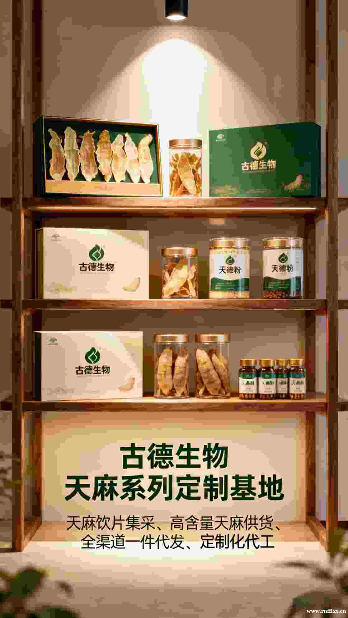 古德生物高含量天麻原料浸出物30%适配中药饮片天麻素0.5% 古德生物高含量天麻原料浸出物30%适配中药饮片天麻素0.5%