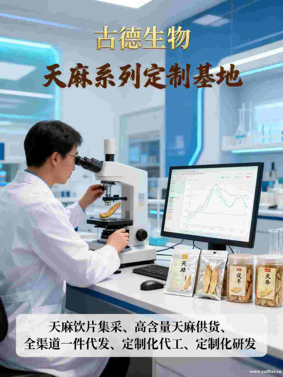 高含量天麻定制古德生物技术支持到位浸出物30% 高含量天麻定制古德生物技术支持到位浸出物30%