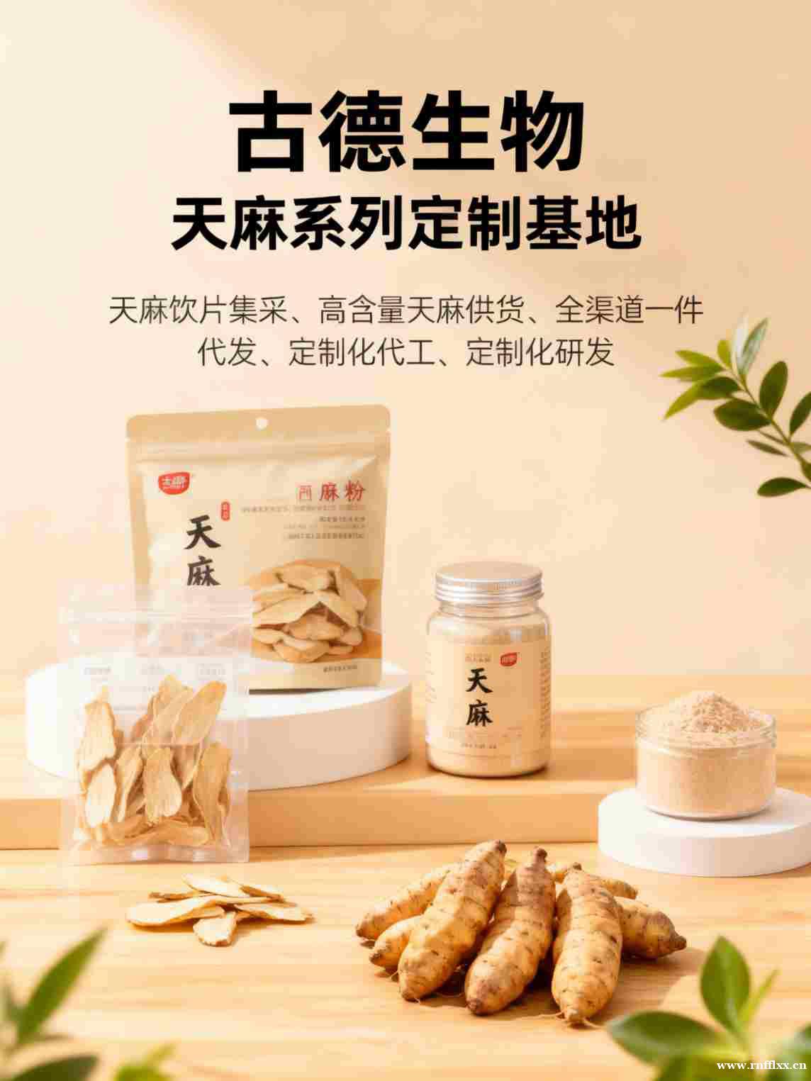 高含量天麻定制古德生物满足多样需求浸出物30% 高含量天麻定制古德生物满足多样需求浸出物30%