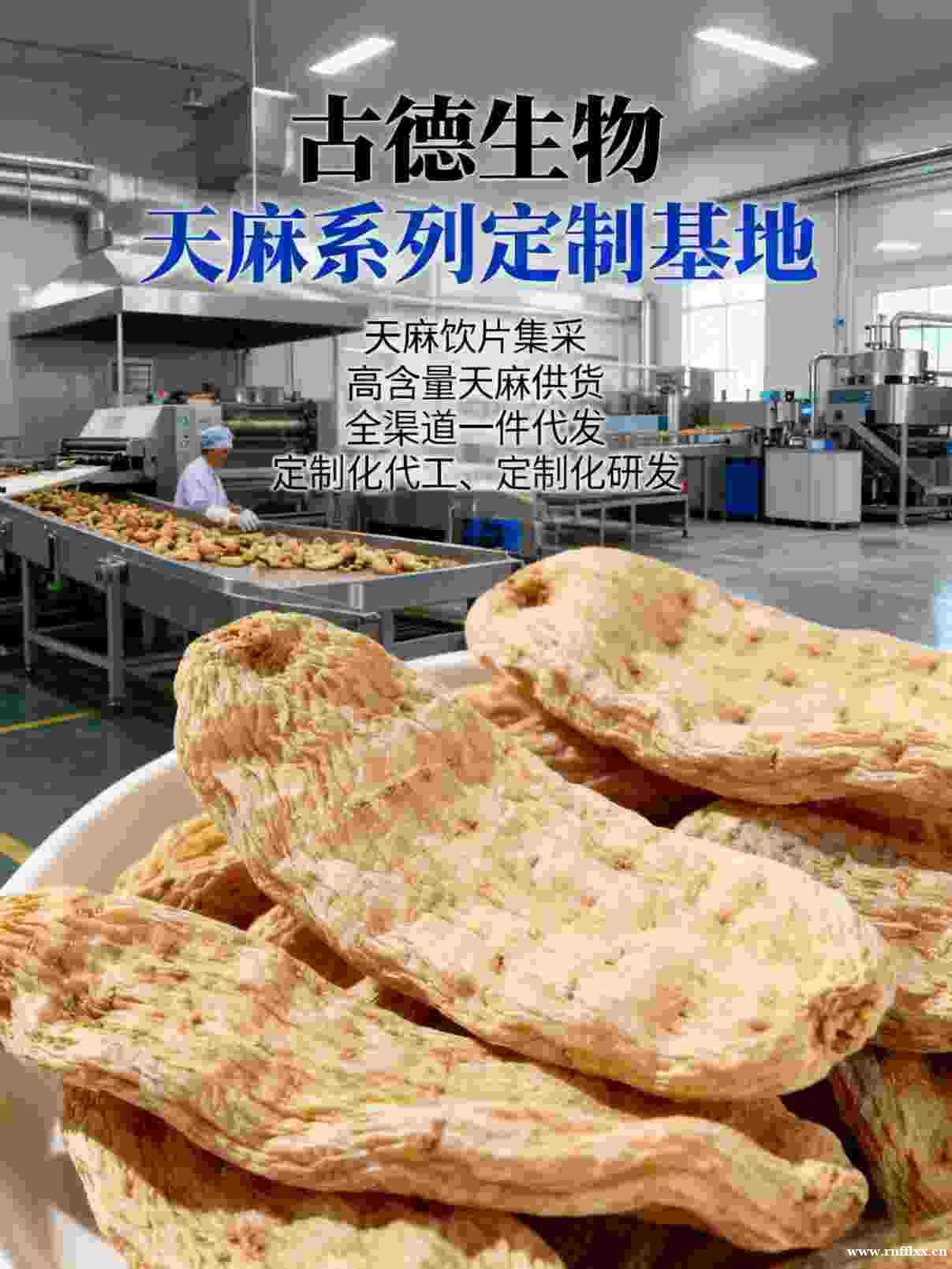 古德生物高含量天麻批发浸出物30%批量供应天麻素0.5% 古德生物高含量天麻批发浸出物30%批量供应天麻素0.5%