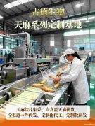 天麻批发服务古德生物高含量浸出物30%原料稳定 天麻批发服务古德生物高含量浸出物30%原料稳定