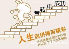 财务管理五年制专转本:深耕财务领域,拓宽职场就业新赛道! 财务管理五年制专转本:深耕财务领域,拓宽职场就业新赛道!